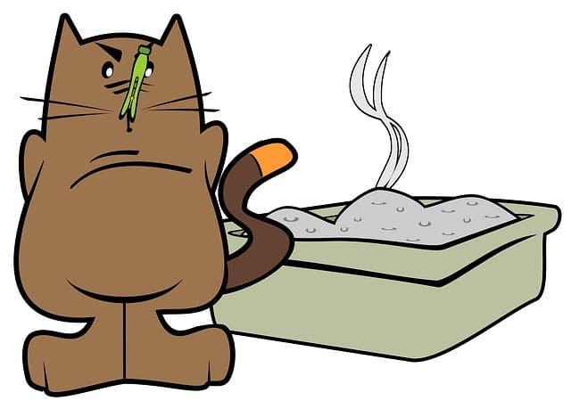 Cat Next To Litter Box Large Cat Litter Box