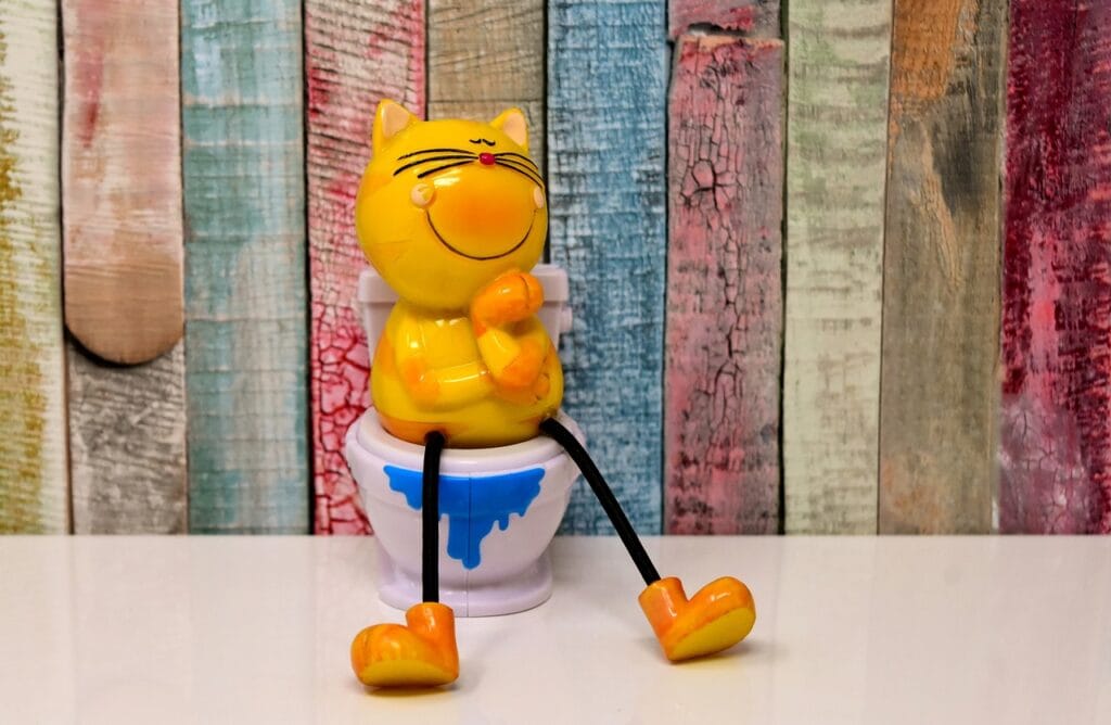 Cat on toilet Cat Caddy