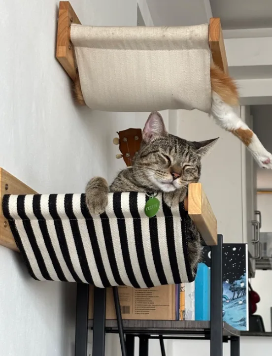 FUKUMARU Cat Wall Hammock