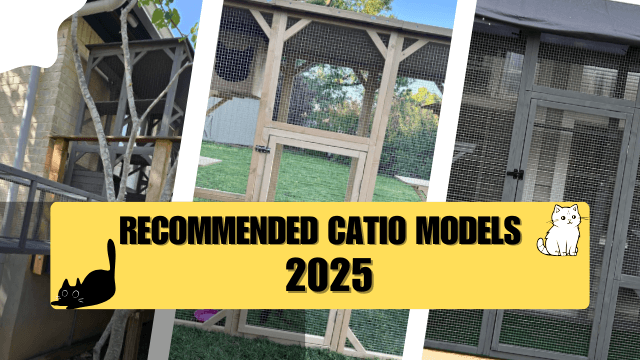 Recommended catio models 2025