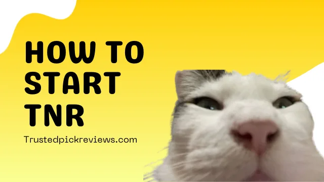 How to start TNR